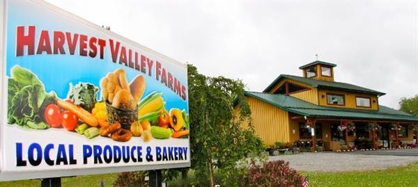 Harvest Salsa – Murphy's Farm Market and Bakery